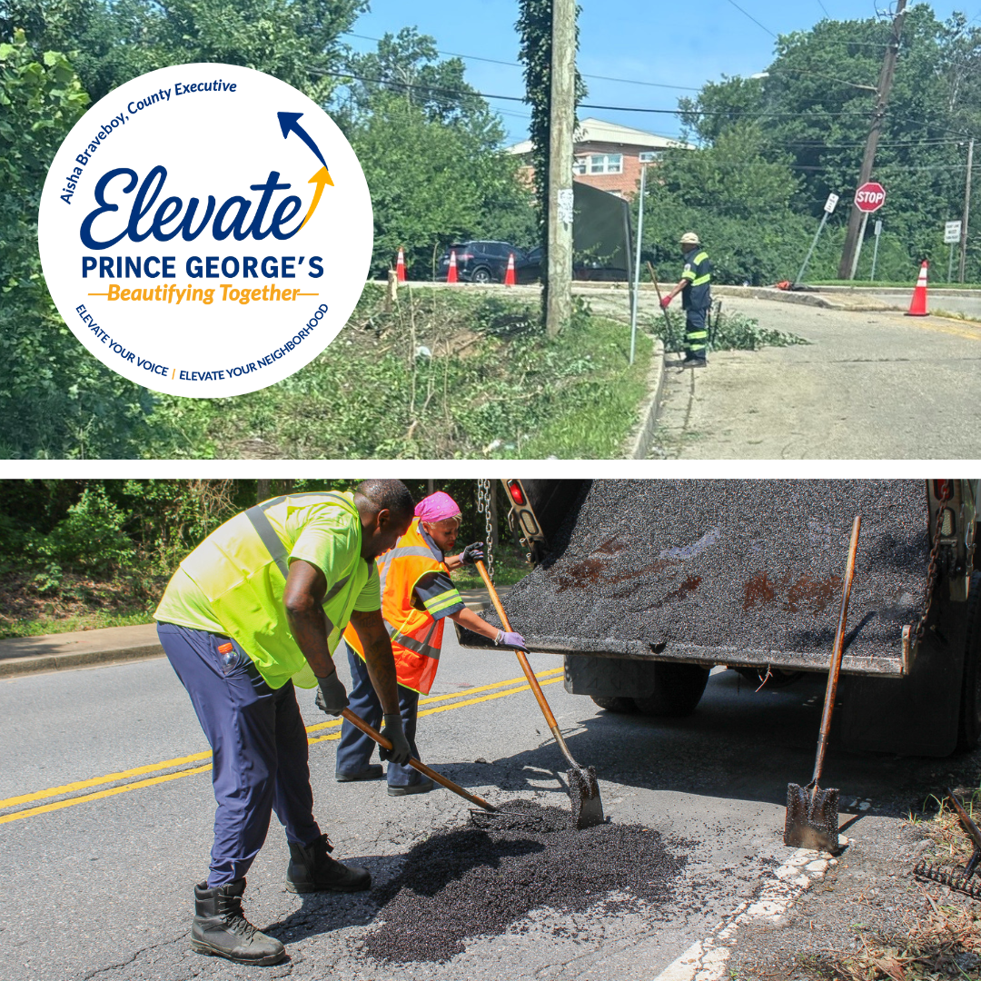 Project elevate photo collage