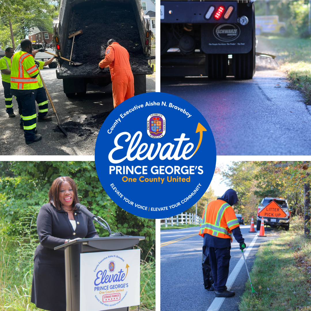 Photo collage of Project Elevate