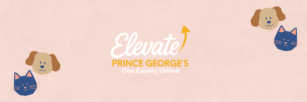 Animal Chatter Elevate Banner