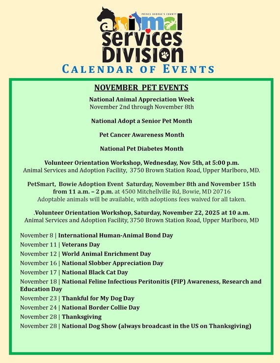 NOV ASD events