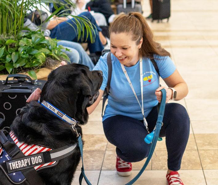therapy dog