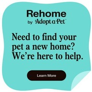 Rehome