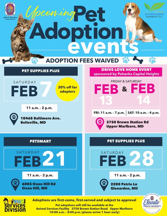 Pet Adoptions Events