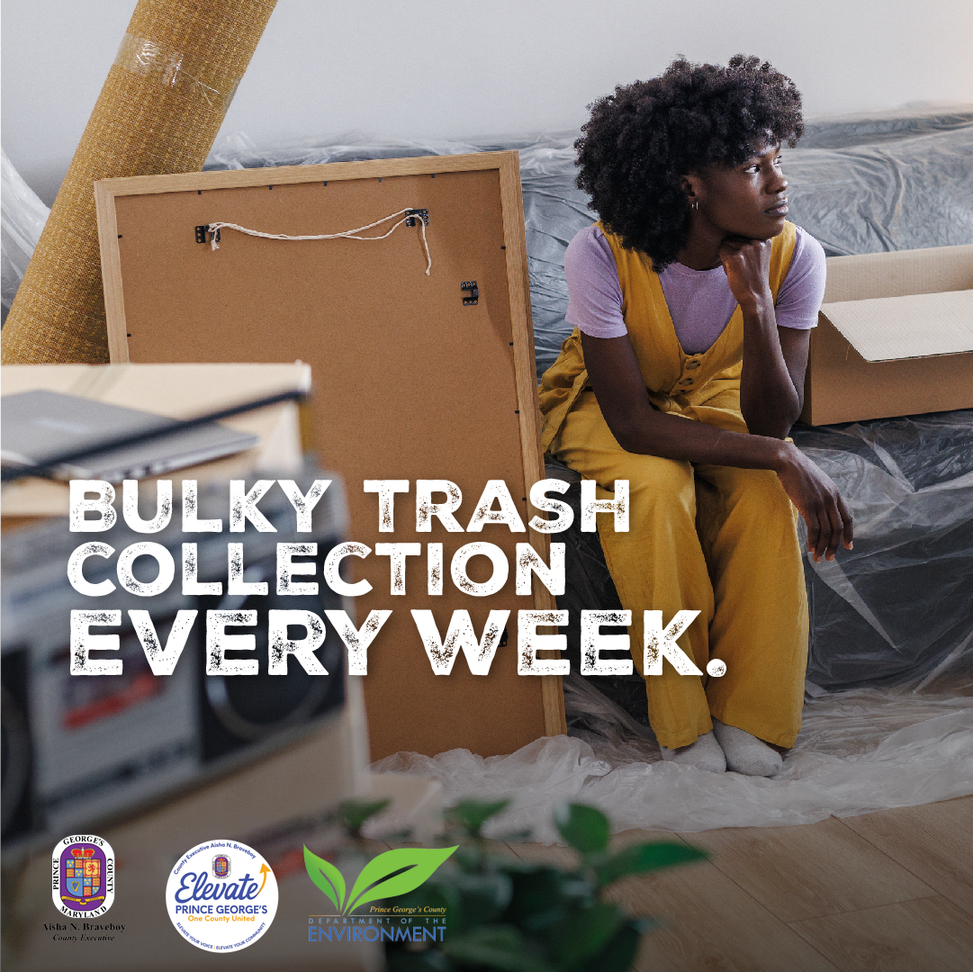 Bulky Trash woman on the couch sp