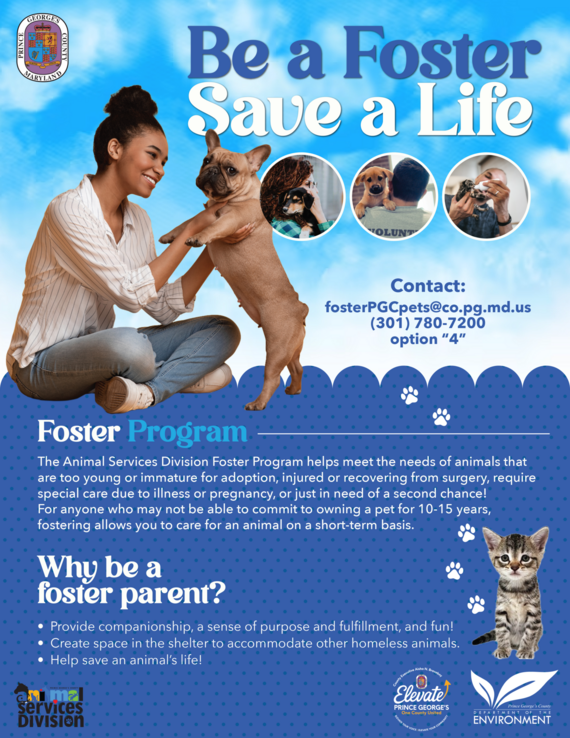 fosterflyer26