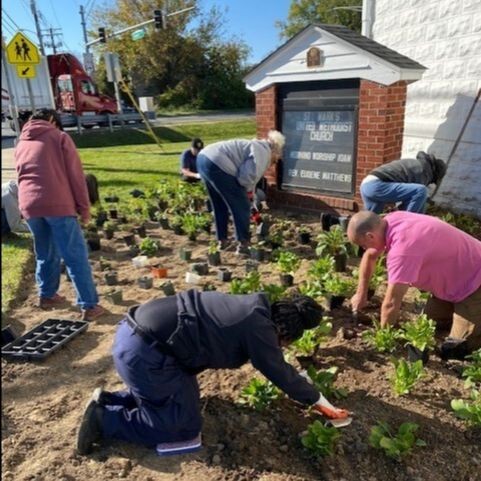 Photo showing people planting trees and shrubs