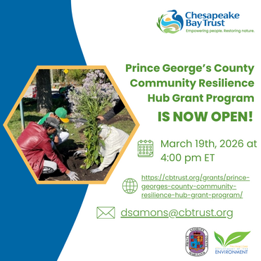 Graphic showing the cover of the Resilence Grant Program Application