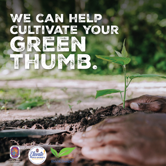 We can help cultivate