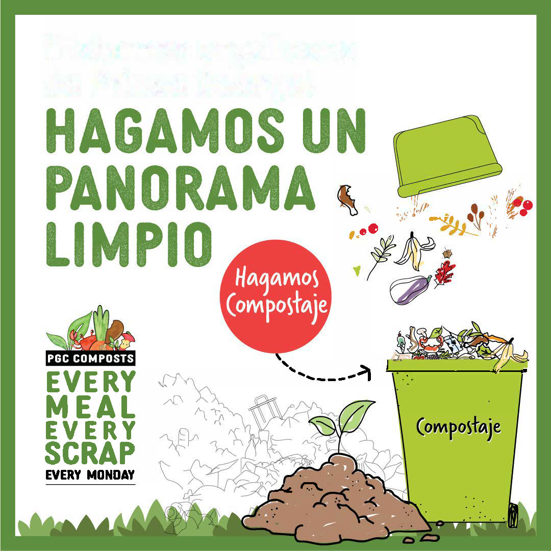 Let's Make a clean scene sp