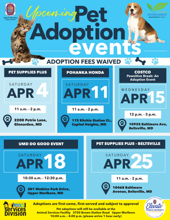 April Adoption Events