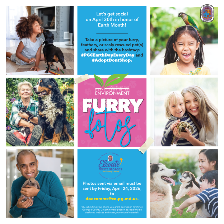 Furry Foto 2026