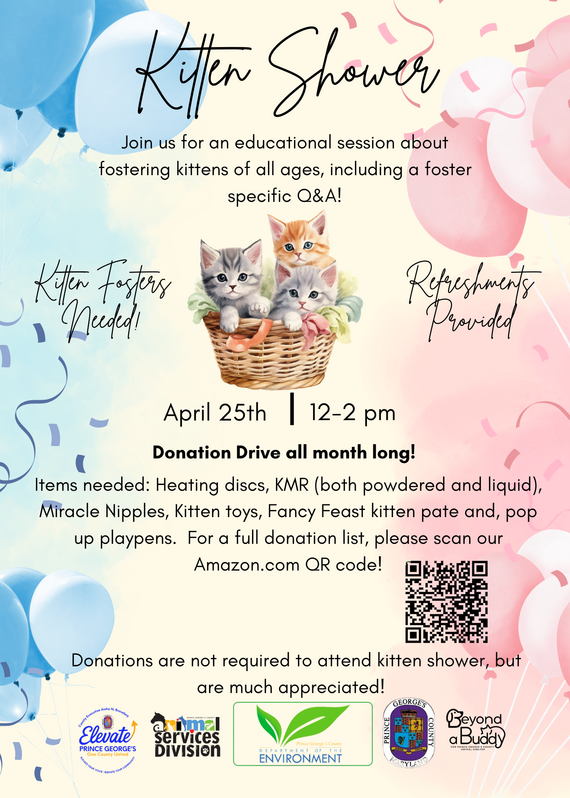 kitten shower