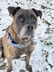roscoe