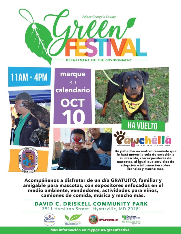 Green Festival