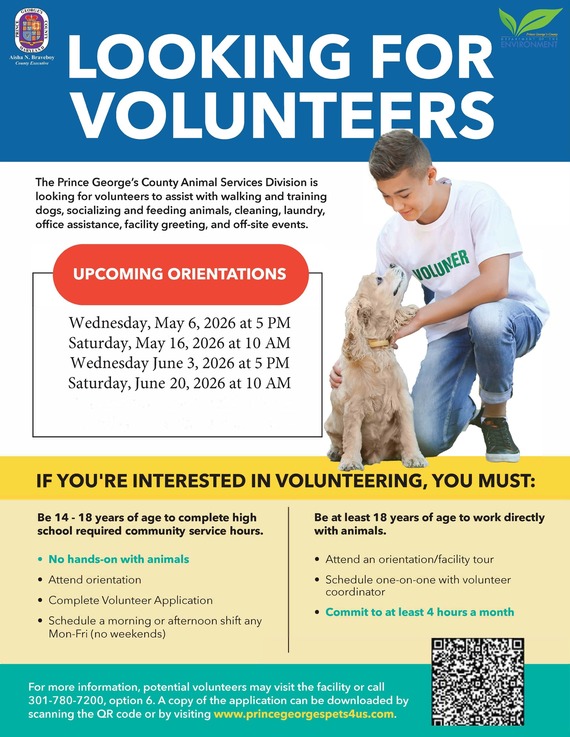 Volunteer Flyer