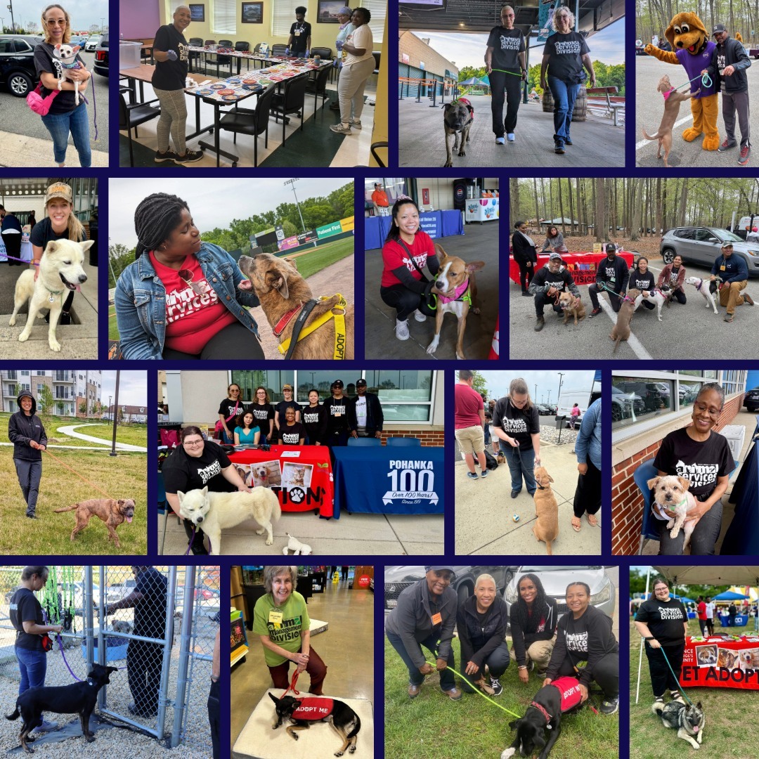 National Volunteer Week
