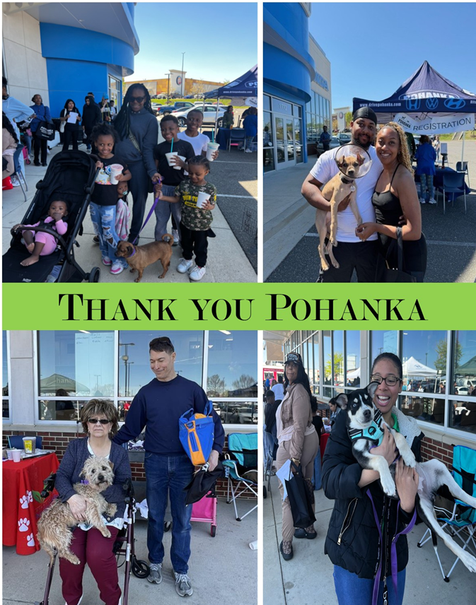 Thank you Pohanka