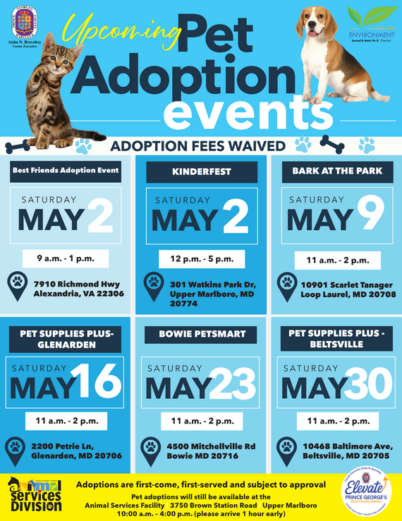 Pet Adoption May 26