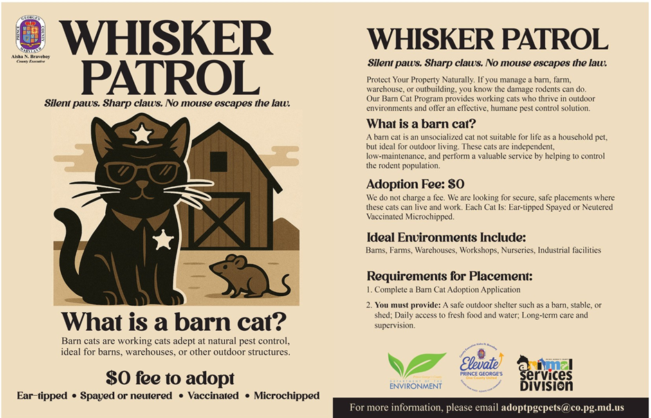 Whisker Patrol 4