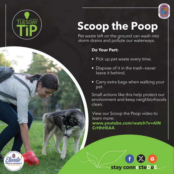 Tuesday Tip -Scoop that Poop
