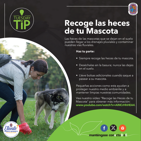Tuesday Tip Scoop that Poop sp