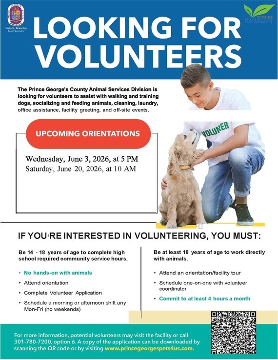 Volunteer Flyer May 2026