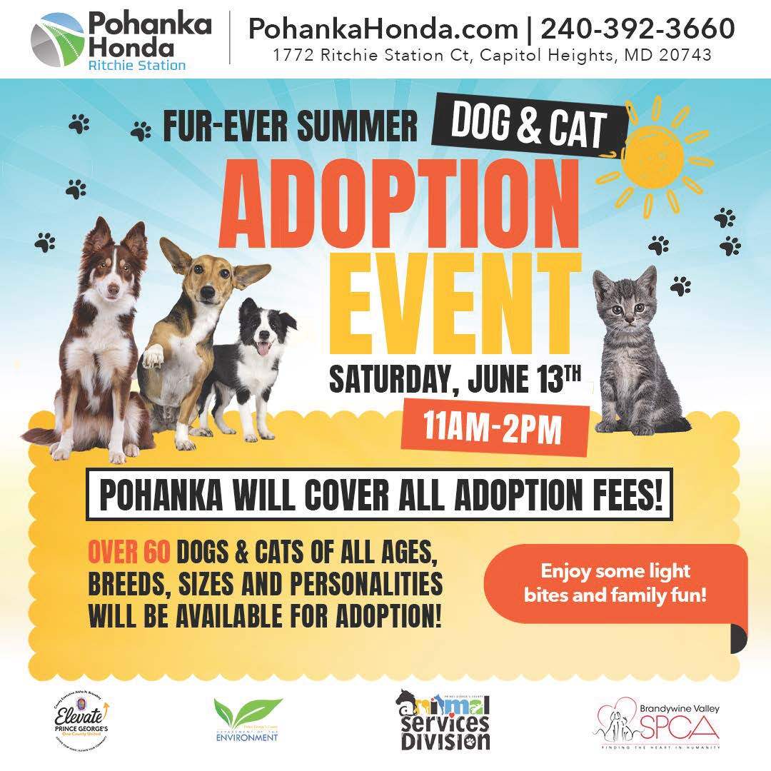 Pohanka Adoption event  6.13