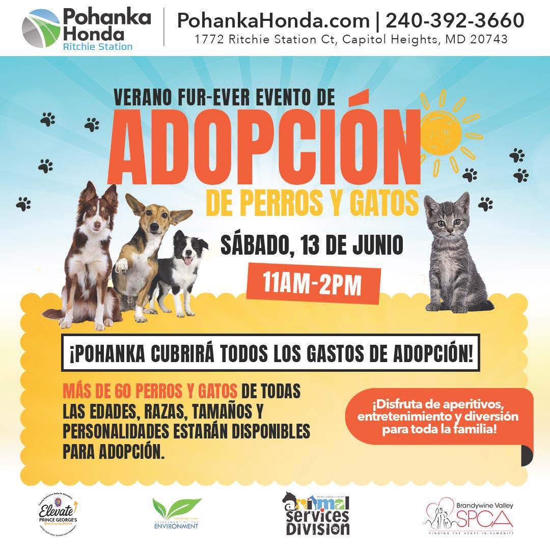 Pohanka Honda Adoption even 6.13 sp