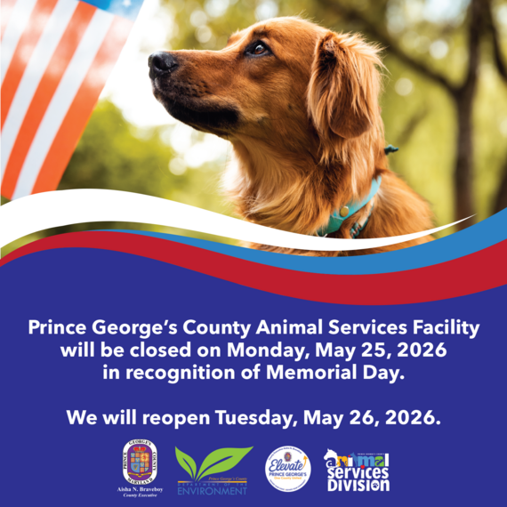 Memorial Day Cllosure