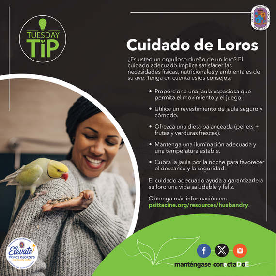 Tuesday Tip  Parrot Husbandry sp
