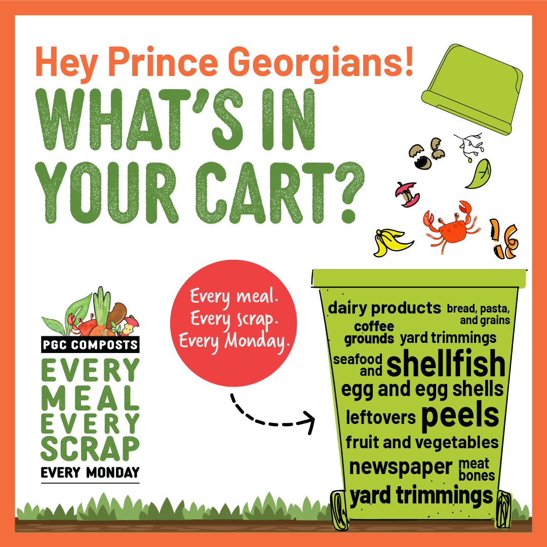 What's in your cart