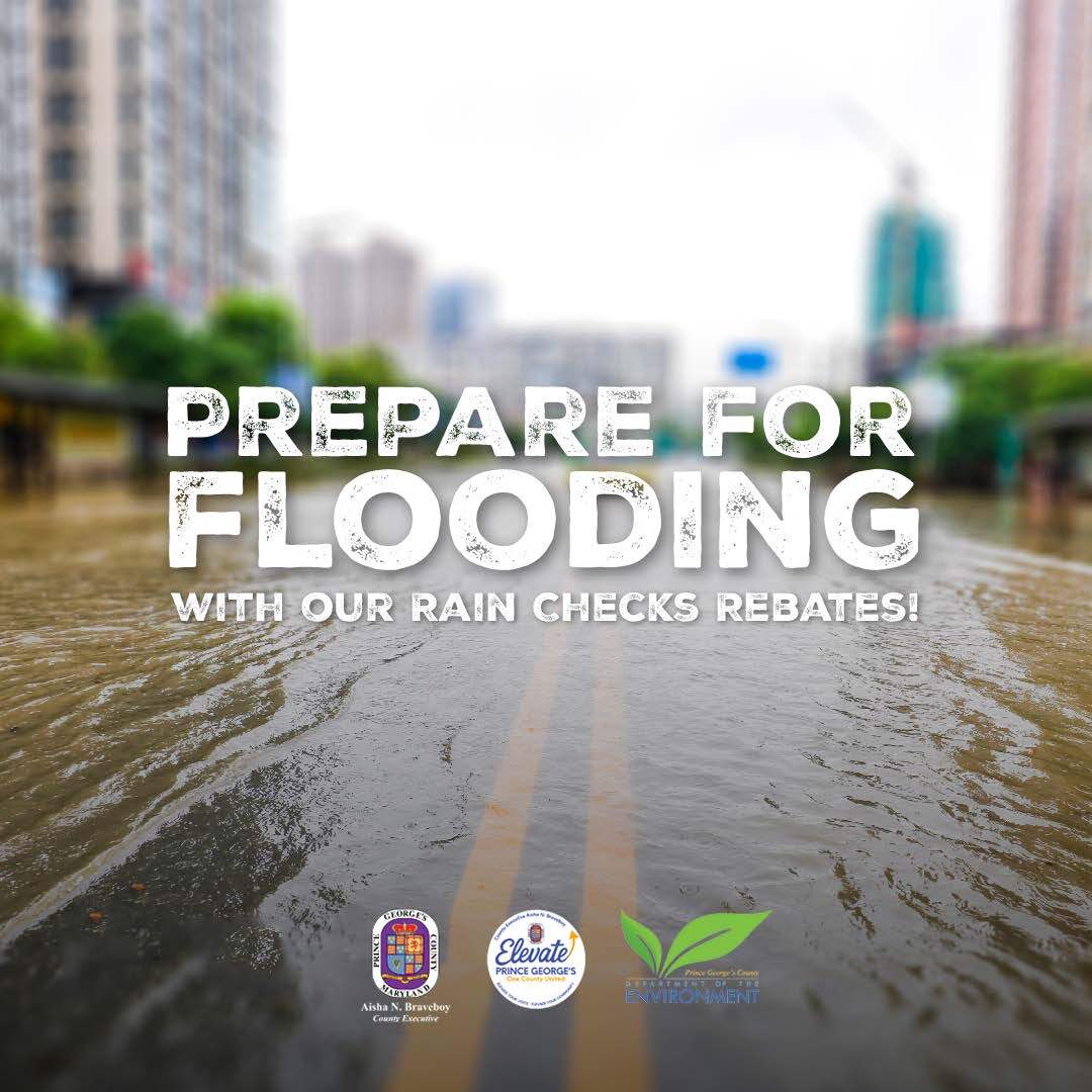 Prepare for Floods