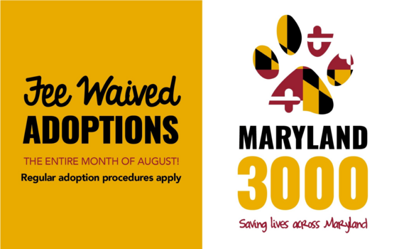 Fees waived MD 3000