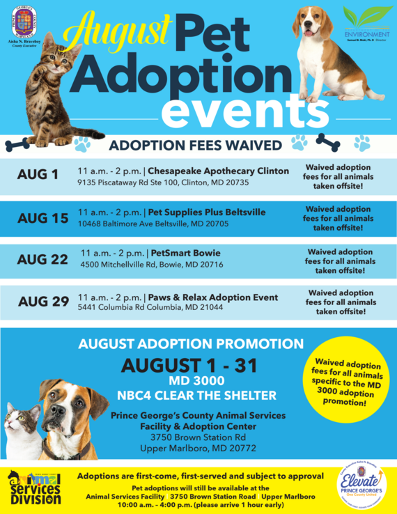 august adoption events asd