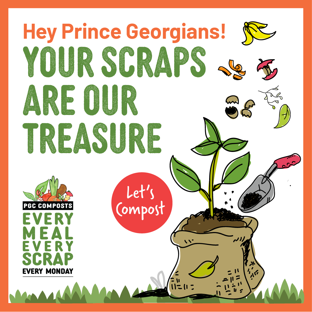 Your Scraps