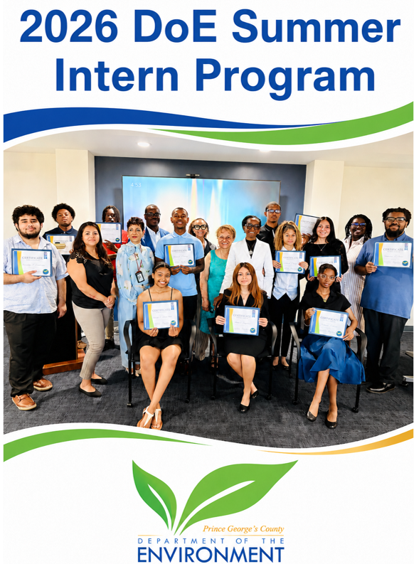 DoE Summer Intern program