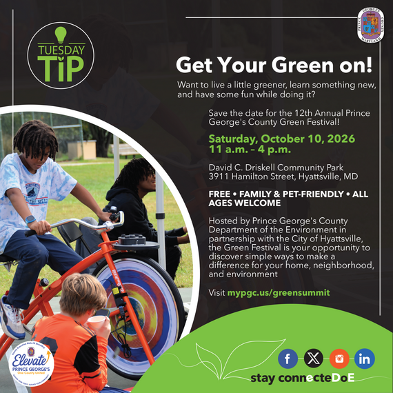 Tuesday Tip Green On