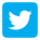 Twitter icon