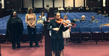 Violin