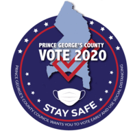 DavisCouncilVote2020Graphic