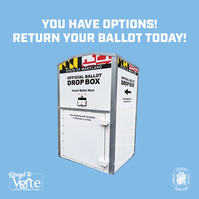 DavisDropboxBallotGraphic