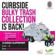 DavisCurbsideBulkTrashPickupFeb