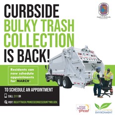 DavisBulkyTrashCollectionGraphic