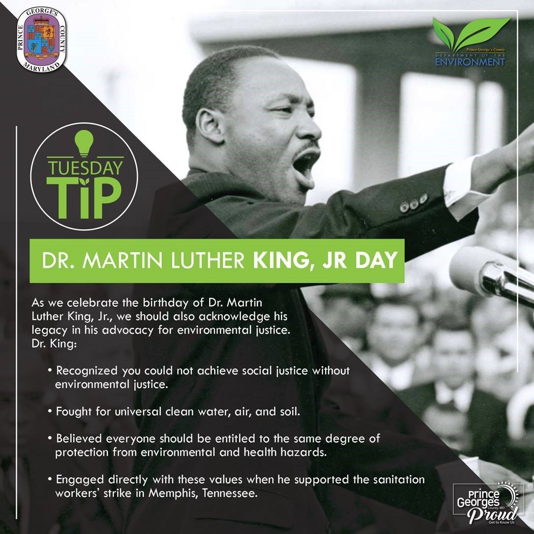 mlk tip