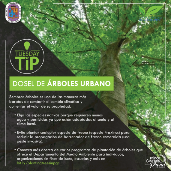 Tree - English Climate Change