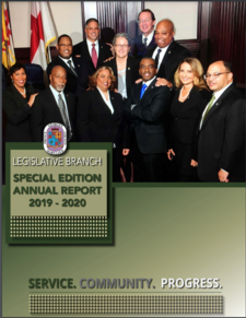 CouncilLegislativeReport20192020