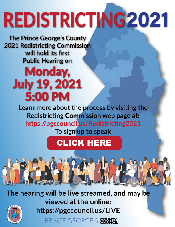 Redistricting Flyer
