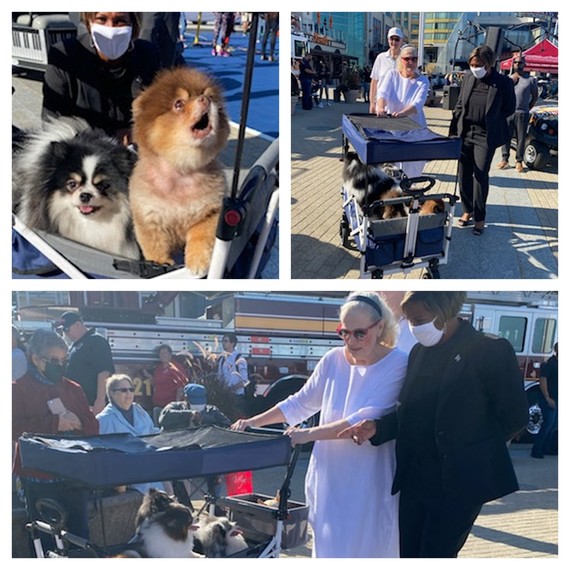 Zip Trip Who Let the Dogs out