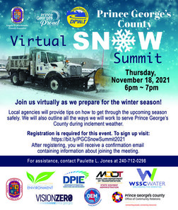 AnnualSnowSummit2021