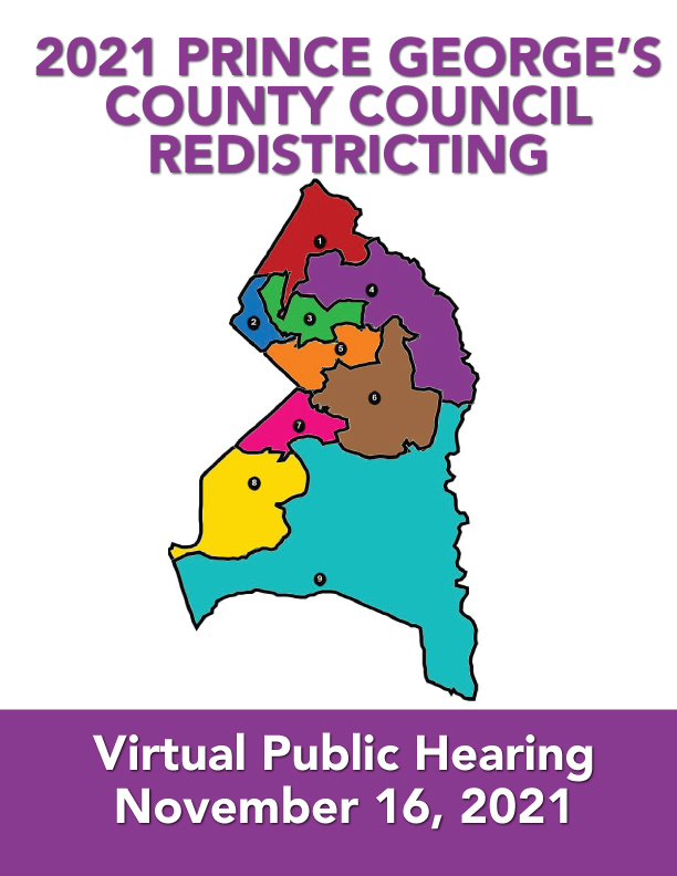 RedistrictingFlyer